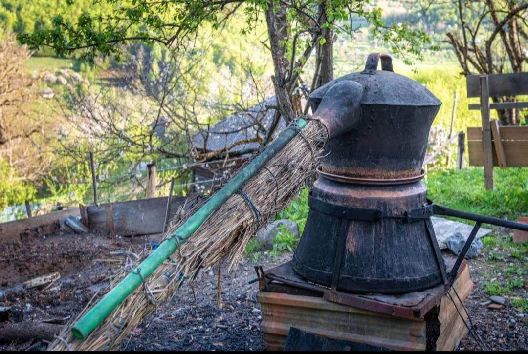 Household Babovic - Old House Miljan'S Valley Andrijevica Екстер'єр фото