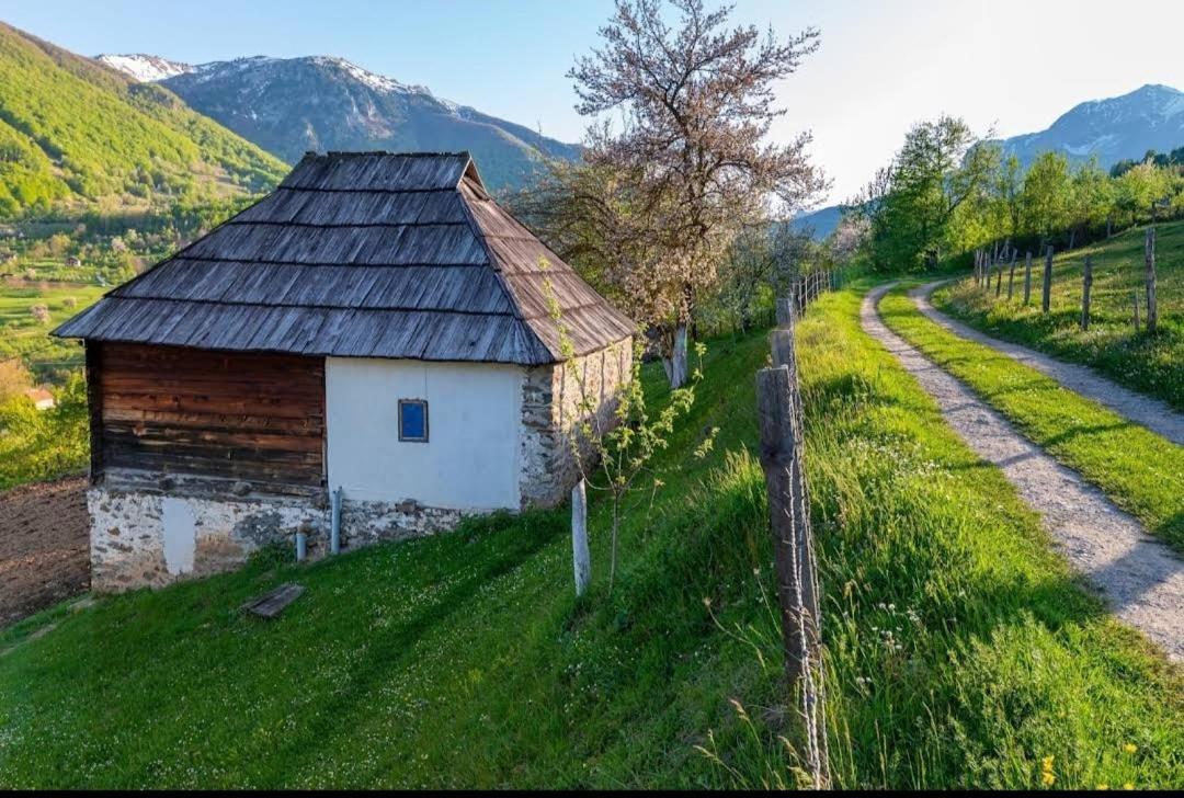 Household Babovic - Old House Miljan'S Valley Andrijevica Екстер'єр фото