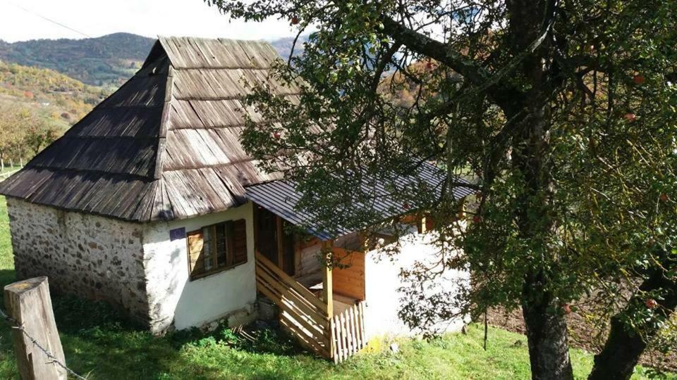 Household Babovic - Old House Miljan'S Valley Andrijevica Екстер'єр фото
